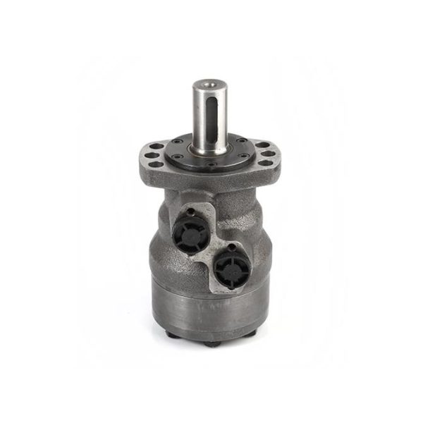 Hidromotor - Hidrolik Motor 100